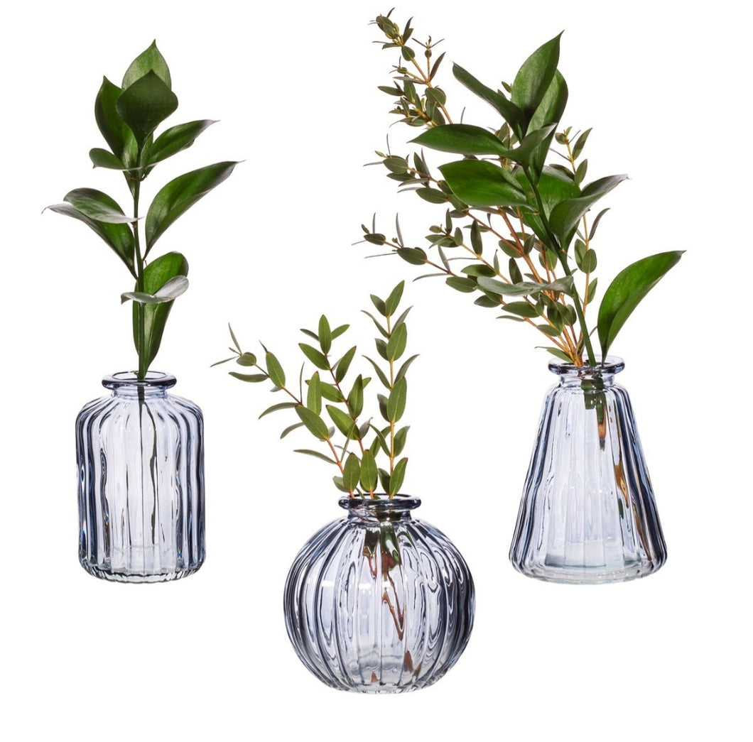 Glass Bud Vases - Set of 3