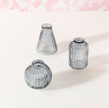 Load image into Gallery viewer, Glass Bud Vases - Set of 3
