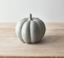 Load image into Gallery viewer, Grey Ceramic Pumpkin
