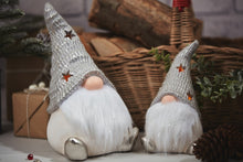 Load image into Gallery viewer, Silver LED Santa
