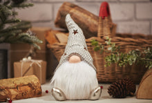 Load image into Gallery viewer, Silver LED Santa
