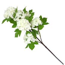 Load image into Gallery viewer, Viburnum Stem
